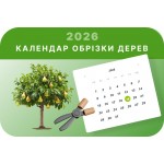 Календар садової обрізки: як і коли доглядати за рослинами