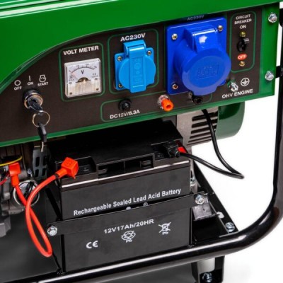 Бензиновий генератор Ranger Tiger 8500 (RA 7756)