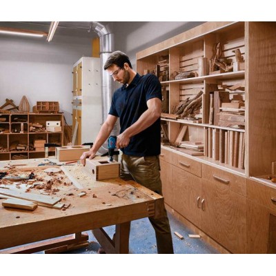 Безщітковий шуруповерт Bosch GSR 12V-30 Professional 2 акб GBA 12V 2 Ah з/в GAL 12V-40  (06019G9001)