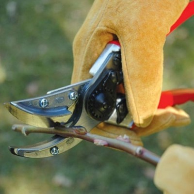 Садовий секатор для квітів FELCO 100 (Felco100)