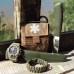 Ніж Morakniv Bushcraft Forest Sandvik 12C27 (12356)
