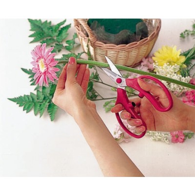 Ножиці для квітів ARS FL-18-BP (АРС FL-18-BP)
