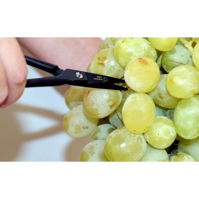 Ножиці 140 мм для прорідження ягід та винограду (леза 3 см - ковані), Manzana (UV-17)