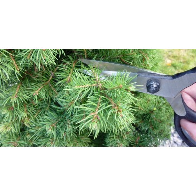 Ножиці для бонсай Okatsune KST203 (KST203)