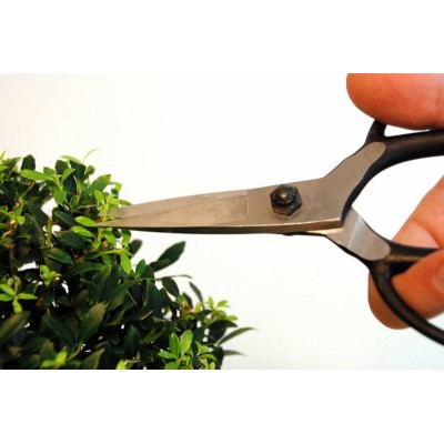 Ножиці для бонсай Okatsune KST203 (KST203)