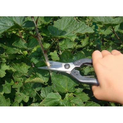 Ножиці посилені садові Okatsune KST207 (KST207)