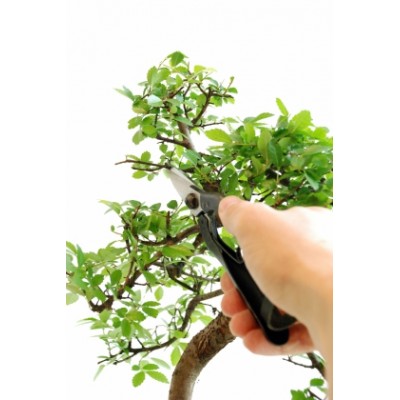 Ножиці посилені садові Okatsune KST207 (KST207)