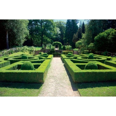 Ножиці для кущів ARS KR-1000L (АРС KR-1000L)