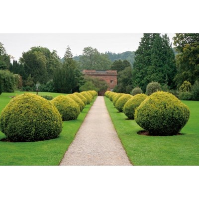 Ножиці для кущів ARS KR-1000L (АРС KR-1000L)