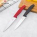 Кухонний ніж Victorinox SwissClassic Paring, 10 см (Vx67703)