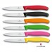 Кухонний ніж Victorinox SwissClassic Paring, 10 см (Vx67703)