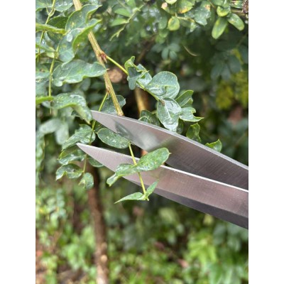 Ножиці ONOTETSU 290 для топіарної стрижки та нівакі 290 мм з дужкою (леза 130 мм, 59HRC, SK85)