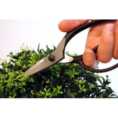 Ножиці для бонсай Okatsune KST201 чохол (KST201)